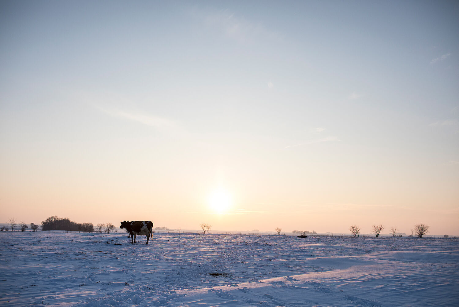 Lost Lake Pasture